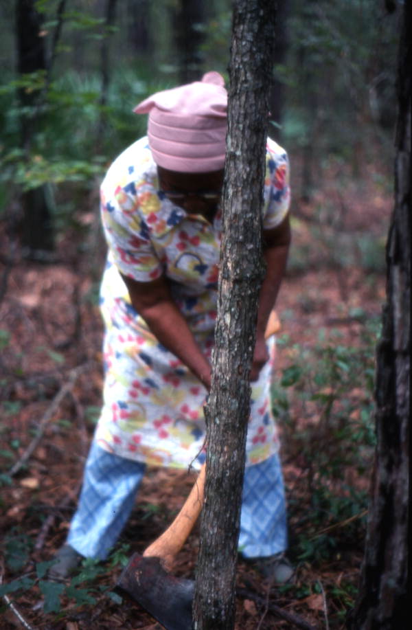 Basket maker Lucreaty Clark cutting down a white oak tree