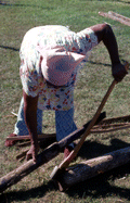 Basket maker Lucreaty Clark chopping a white oak tree