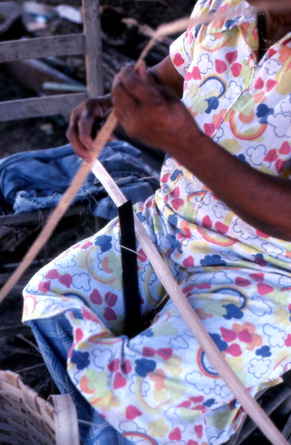Basket maker Lucreaty Clark tearing white oak into strips