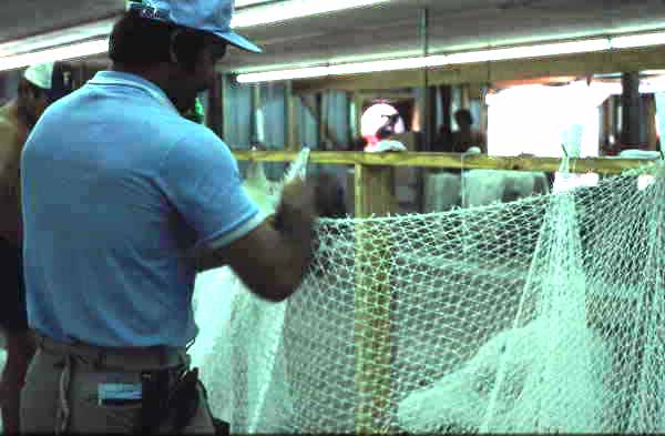 Billy Burbank III working at making a fishing net - Fernandina Beach, Florida