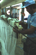 Billy Burbank III stringing up a fishing net - Fernandina Beach, Florida