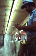 Billy Burbank III weaving a fishing net - Fernandina Beach, Florida