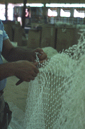 Billy Burbank III in process of making a fishing net - Fernandina Beach, Florida