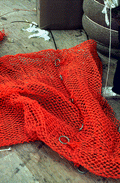 Fishing net - Fernandina Beach, Florida