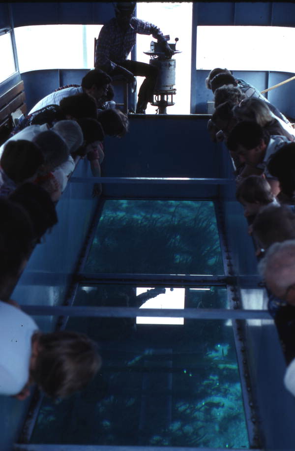 Visitors look through the glass bottom of a tour boat at Wakulla Springs (circa 1980).