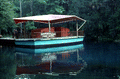 Area known as the "Fish Bowl", where people can go underwater and see fishes - Homosassa Springs, Florida