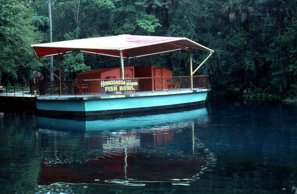 Area known as the "Fish Bowl", where people can go underwater and see fishes - Homosassa Springs, Florida