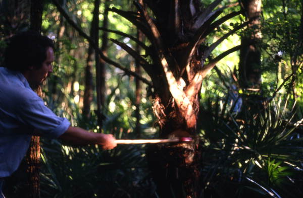 Here, we see Ralph O'Brien of Tampa chopping away the 