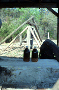 Bottles of sugar cane syrup with cane grinding machinery in the background - Jefferson County, Florida