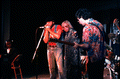 Mary McClain and the King Snake Blues Band performing - White Springs, Florida