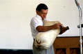 Nikitas Tsimouris playing the tsambouna - White Springs, Florida
