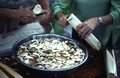 Bernice Livingston and Thelma Driver cutting swamp cabbage into a bowl - Mayo, Florida.