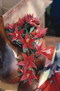 Origami in the shape of flowers made by Kazuko Law - Pensacola, Florida.