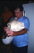 Nikitas Tsimouris playing a tsambouna - Tarpon Springs, Florida