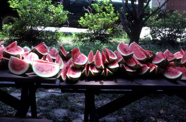 Watermelon slices ready for a watermelon eating contest at the Florida Folk Festival in White Springs (1986).