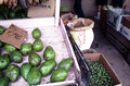 Avocados for sale at an open air market - Miami, Florida.