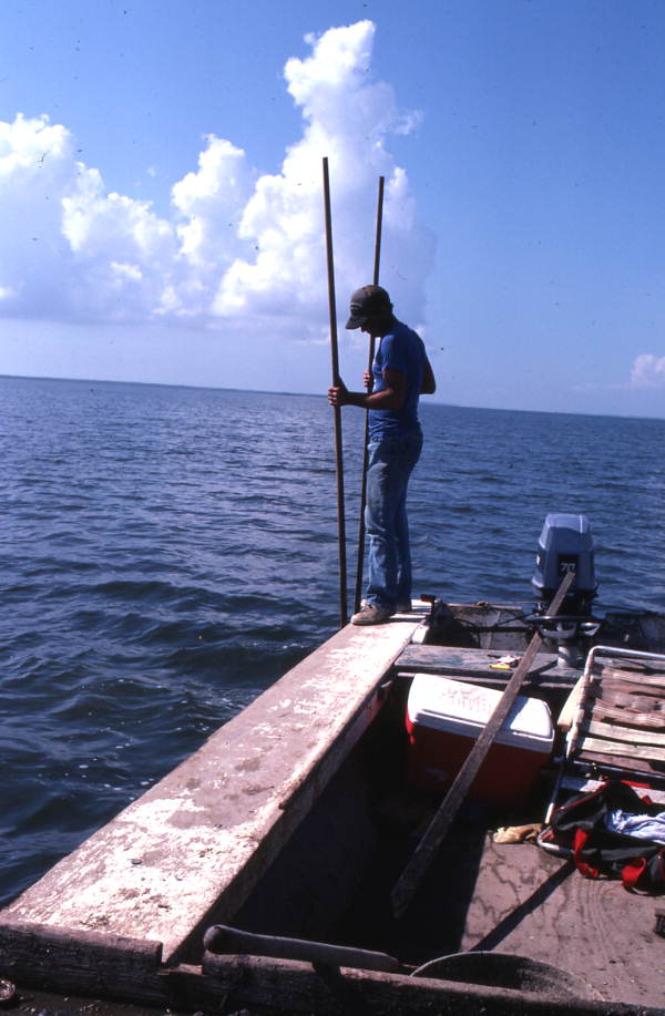 Oystering with tongs - Apalachicola, Florida.