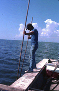 Oystering with tongs - Apalachicola, Florida.