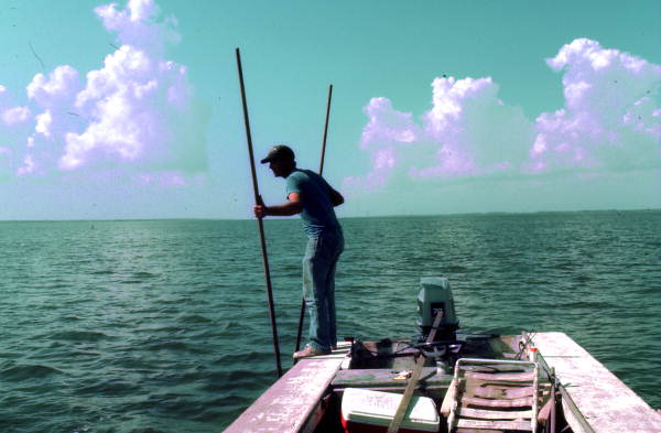 Oystering with tongs - Apalachicola, Florida.