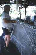 Costa Buzier hanging a trawl net and sewing webbing - Apalachicola, Florida.