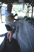 Costa Buzier hanging a trawl net and sewing webbing - Apalachicola, Florida.