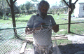 Costa Buzier assembles a shrimp trawl net - Apalachicola, Florida.