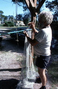 Costa Buzier ties net webbing of shrimp trawl - Apalachicola, Florida.