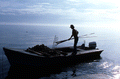 Cletis Anderson depositing oysters onto deck - Apalachicola Bay, Florida.