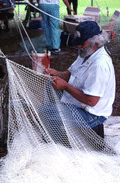 Costa Buzier making a net - White Springs, Florida