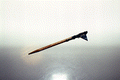 Waving tool used to decorate Ukrainian Easter eggs - Jacksonville, Florida