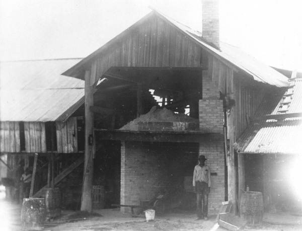 Alfred and Co. government plan still