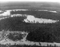 Aerial view of Juniper Lake Fish Management area - Walton County, Florida