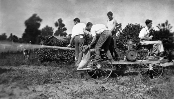 Members of a Florida chapter of the Future Farmers of America apply pesticide to a citrus grove. The FFA grew out of the nationwide Smith-Hughes agricultural education program (circa 1920s).