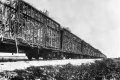 Atlantic Coast Line cars full of sugar cane going to mills at Clewiston, Moore Haven or South Bay