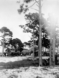 Hotel- Port St. Joe, Florida..