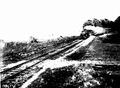 Atlantic Coast Line train running along the shore of Lake Alfred