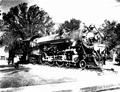 Atlantic Coast Line engine number 1652 on display at the Florida State Fair
