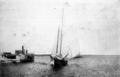 Schooner Sammy Lee and steamer Lewis - Manatee River, Florida.