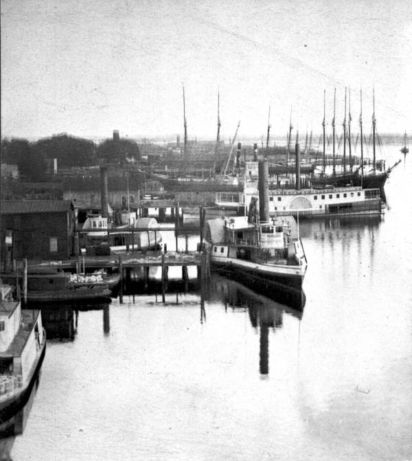 Steamboats lined up at the wharfs along the St. Johns River in Jacksonville (ca. 1890).