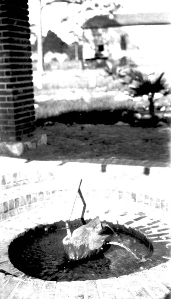 One of the springs at Panacea is channeled through a wooden stump to create a fountain (circa 1930).