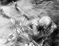 Ricou Browning during the filming of "Creature from the Black Lagoon".