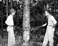 District forester B.C. Leynes and H.J. Westburry
