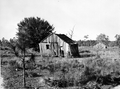 Former workers quarters at an abandoned turpentine camp