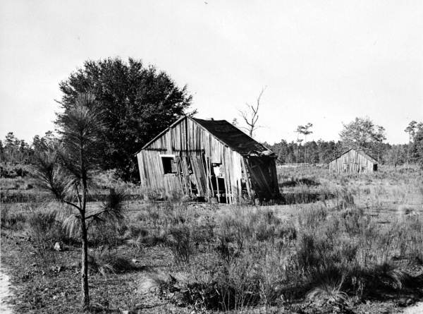 Former workers quarters at an abandoned turpentine camp