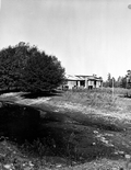 Still at an abandoned turpentine camp