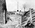 Burned remains of house at abandoned turpentine camp