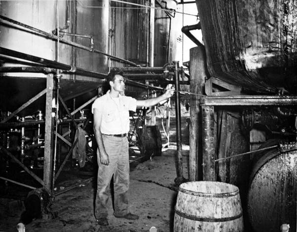 Bill Boynton in central gum buying plant