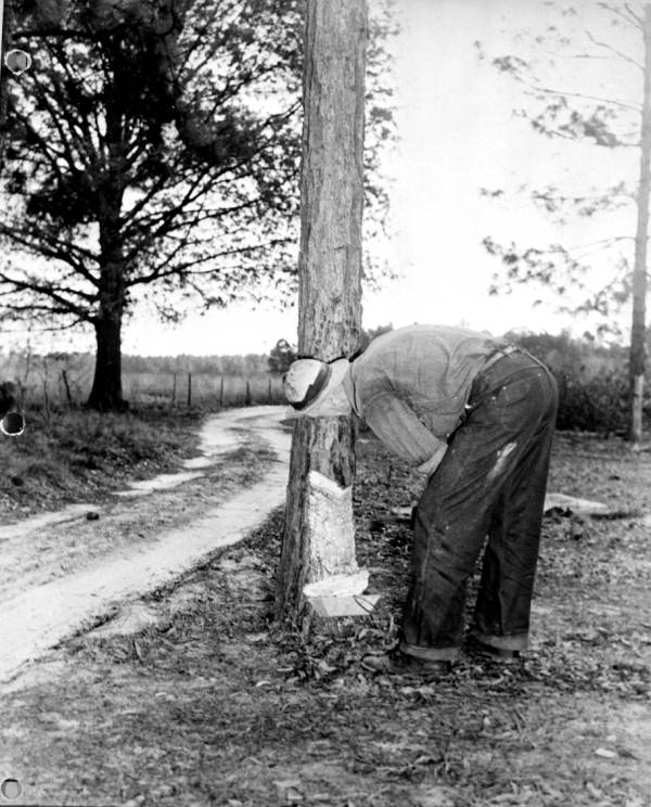 Checking the flow of gum