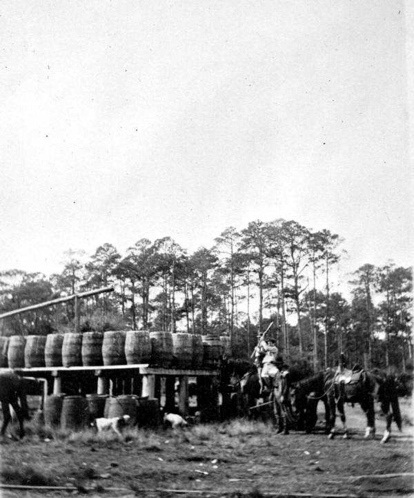 Barrels of turpentine at a still near San Mateo