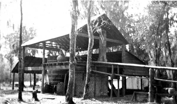 Julian Sutherland's still on East End Road - San Mateo Region, Florida